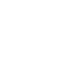 Rhizome
